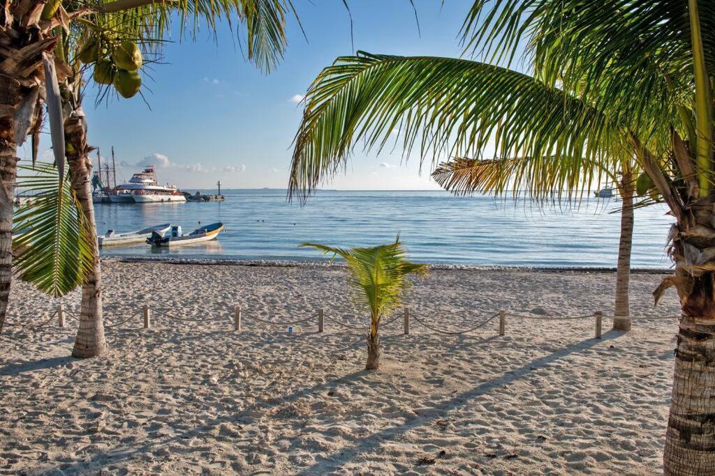 Amara, Depa Con Vista Al Mar Daire Cancun Dış mekan fotoğraf